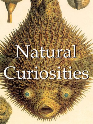 cover image of Natural Curiosities